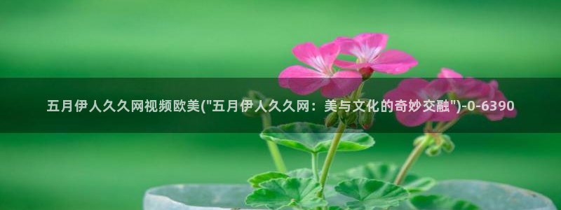 女友妈妈伊人影院久久