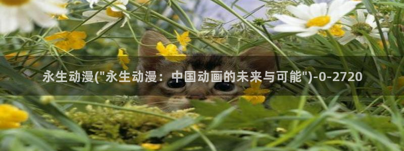 动漫培训基地