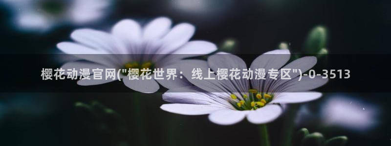 动漫排行榜