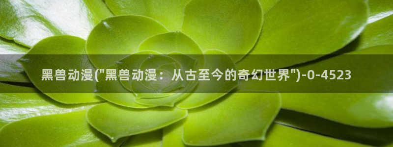 奇奇动漫