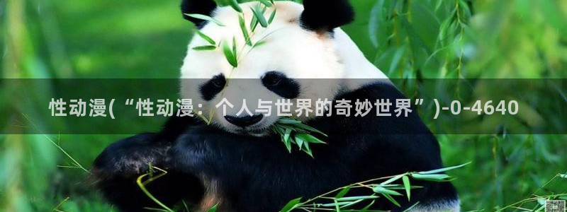 斗罗大陆2绝世唐门动漫