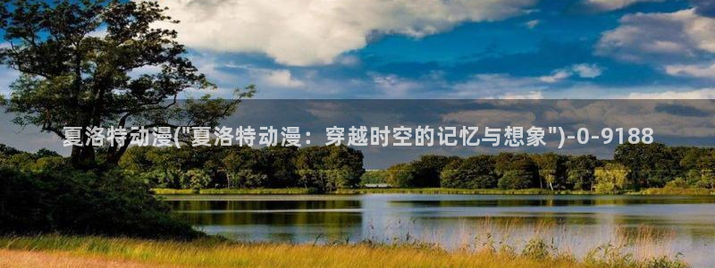 动漫节