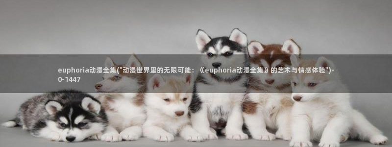 动漫新番
